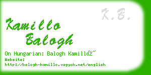 kamillo balogh business card